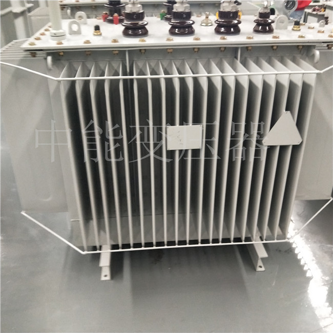东营S20-800KVA变压器